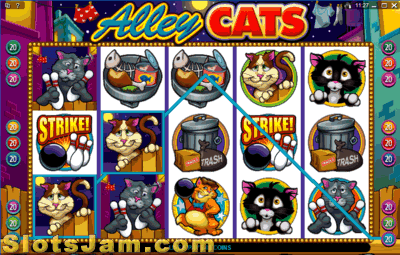 Alley Cats Slots Mystery Prize Bonus Game