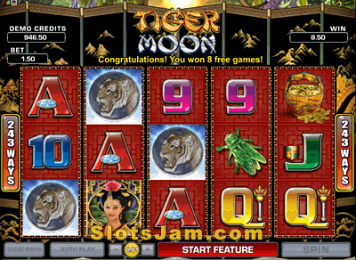 Tiger Moon Slots Bonus Game