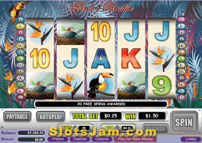 Birds Of Paradise Free Spins