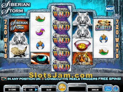 Siberian Storm Slots Bonus Game